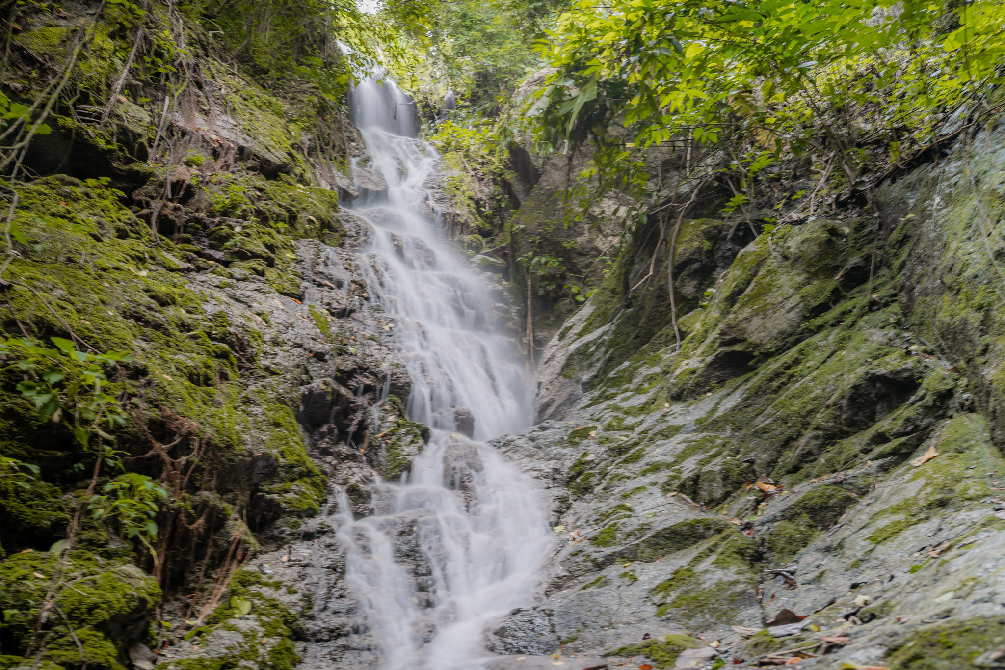 เที่ยวไปไม่ไกล เที่ยวไปกับ พช. ชุมชุนนวัติวิถีบ้านป่าตอ ม.8 ต.เขาปู่